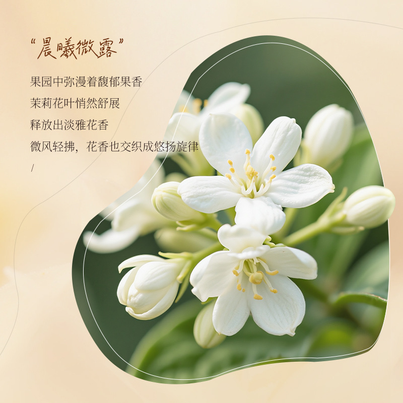 แชมพูน้ำมันหอมกลิ่นโกโก้ ผสมกร - Fragrance Perfume For Hair บทวิจารณ์และราคา